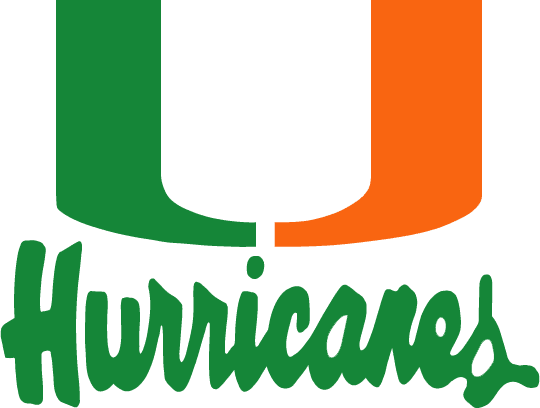 Miami Hurricanes 1979-1999 Wordmark Logo diy fabric transfer